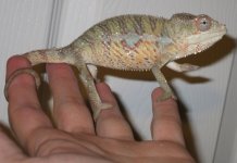 IMG_1994.jpg