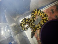 20121025_210119.jpg