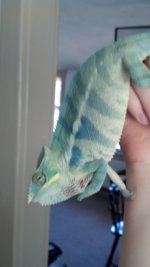 IMG_20130505_145656_278.jpg