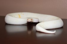 IMG_6697.jpg