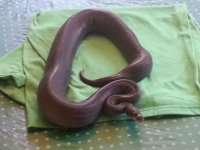 20120825_101052.jpg