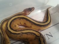 20121129_122811.jpg