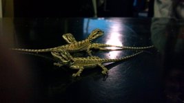 2012-09-29_20-19-52_398.jpg