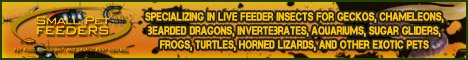 Live-Feeder-Insects.jpg Live-Feeder-Insects.jpg
