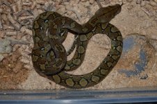 DSC_0039 13m small.jpg