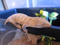 IMG_0020.jpg
