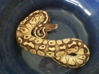 20121029_160920.jpg