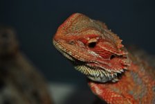 CSC_1640.jpg