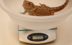 mephoweight.jpg