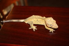 IMG_3326.jpg