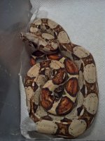 IMG_20130308_212429.jpg