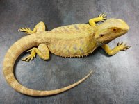 20130220_155059.jpg