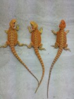 20130405_181036.jpg