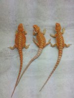 20130405_181359.jpg