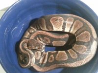 20121029_163640.jpg