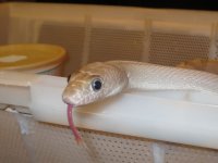 IMG_1307.jpg