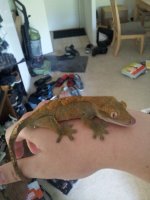 20130430_105954.jpg