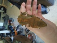 20130430_110052.jpg