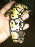 IMG_20130112_142047.jpg