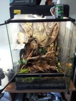 20130430_110326.jpg