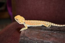 IMG_7925.jpg