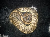 20130320_001134.jpg