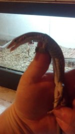 2013-02-02_15-24-14_818.jpg