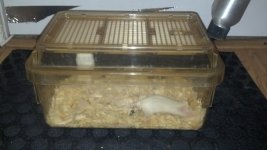 2013-02-12_23-03-53_353.jpg