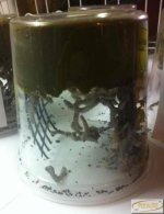 live-silkworm-pod-up-to-50-worms.jpg live-silkworm-pod-up-to-50-worms.jpg