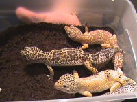 April 13 2011 195.jpg