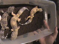 April 13 2011 197.jpg