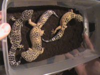 April 13 2011 198.jpg