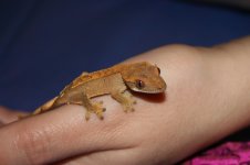 IMG_1862.jpg
