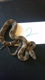2013-05-01_10-52-44_232.jpg