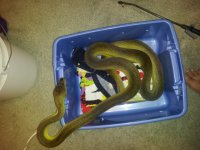 2012-07-04 18.48.34.jpg