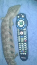 IMAG0974.jpg