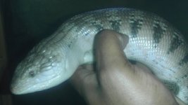 IMAG0975.jpg