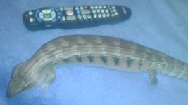 IMAG0977.jpg