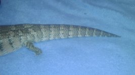 IMAG0978.jpg