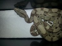 20130320_210540.jpg