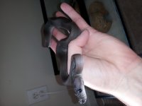 20130416_164353.jpg