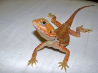IMG_0011.jpg