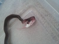 20130418_141653.jpg