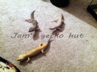 IMG_20130122_224246.jpg