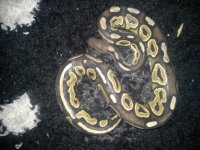 20130320_001104.jpg
