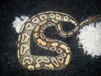 20130320_001334.jpg
