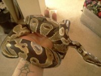 IMG_20130427_120350.jpg