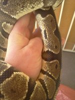 IMG_20130427_120100.jpg