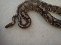 IMG_20130427_120021.jpg