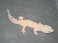IMG_8181.jpg